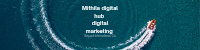 Mithladigitalhub.in
